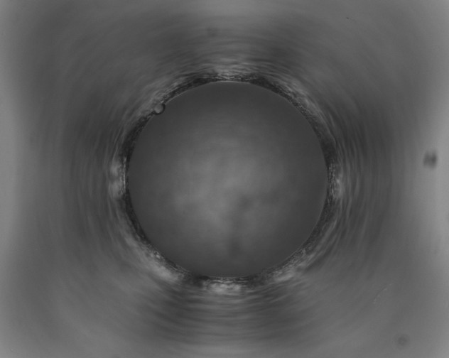 X0000090900471200707301417