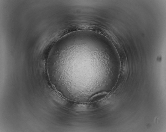 X0000090900473200707301417
