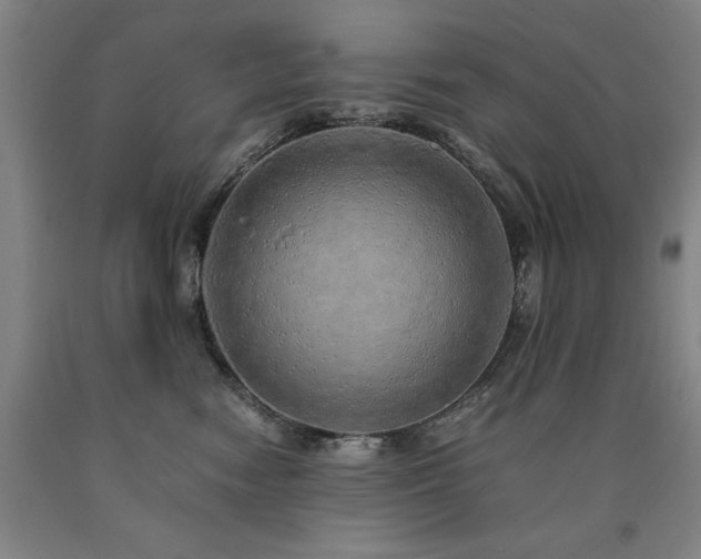 X0000090900474200707301417