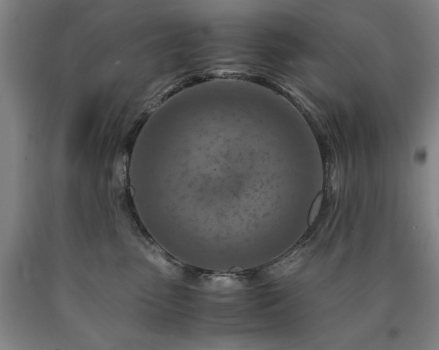 X0000090900475200707301417