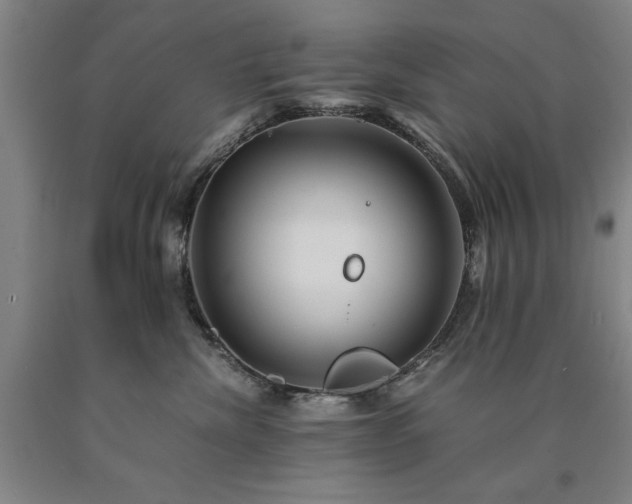 X0000090900476200707301417