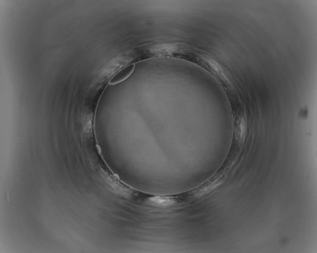 X0000090900477200707301417