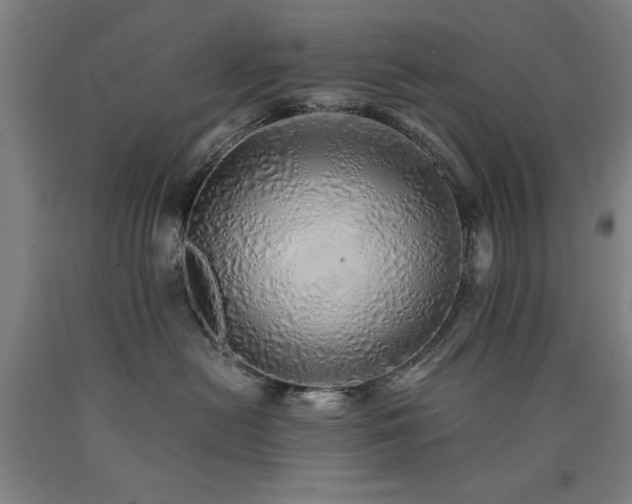 X0000090900478200707301417