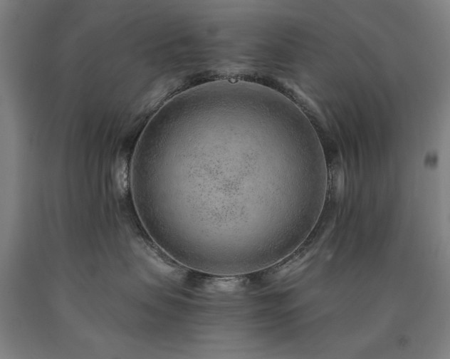 X0000090900479200707301417