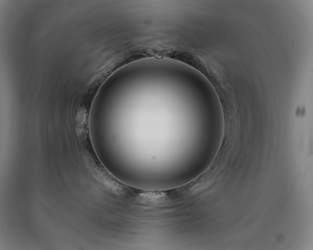 X0000090900480200707301417