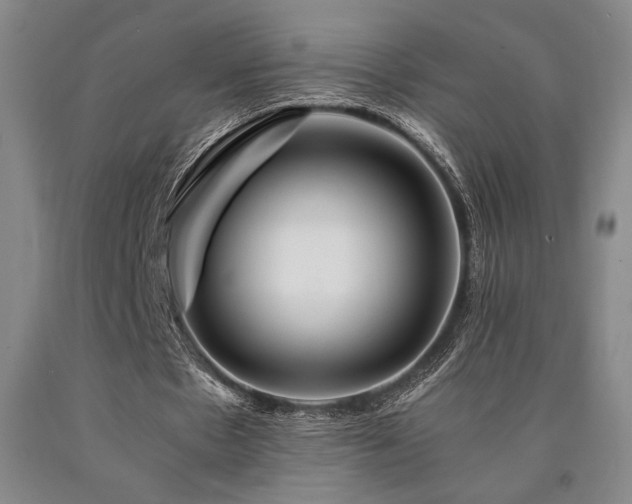 X0000090900481200707301416