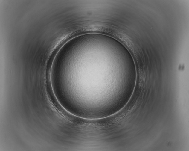 X0000090900482200707301416