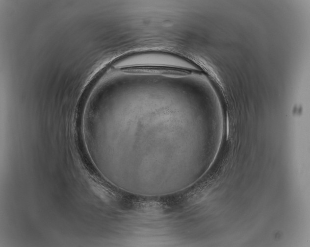 X0000090900483200707301416