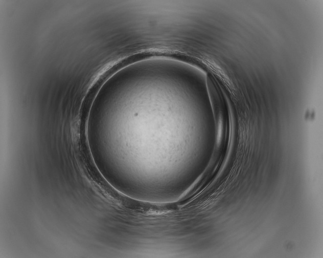 X0000090900484200707301416