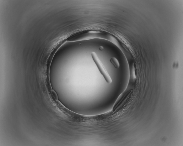 X0000090900485200707301416