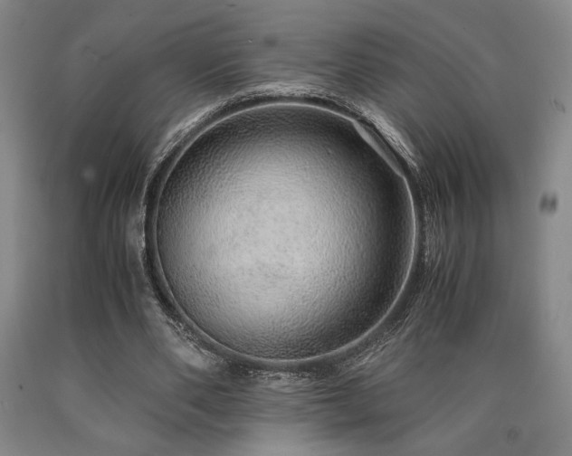 X0000090900486200707301416