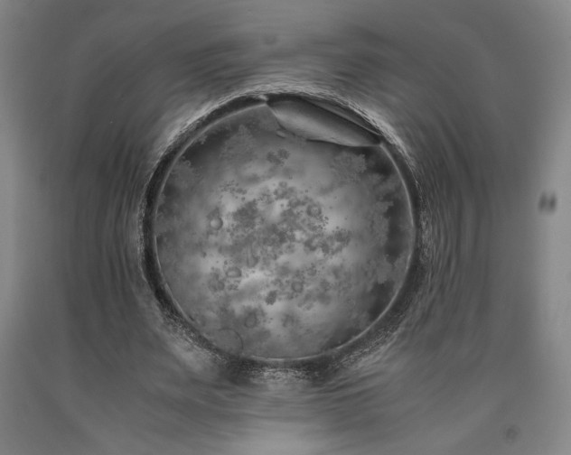 X0000090900487200707301416