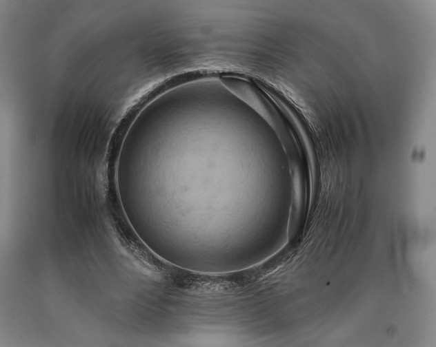 X0000090900488200707301416