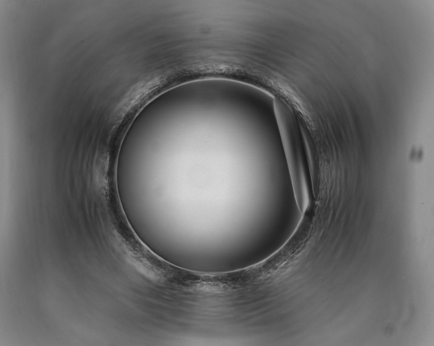 X0000090900490200707301416