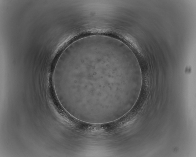 X0000090900491200707301416