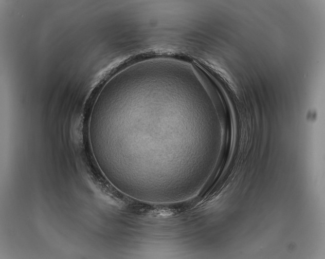 X0000090900492200707301416