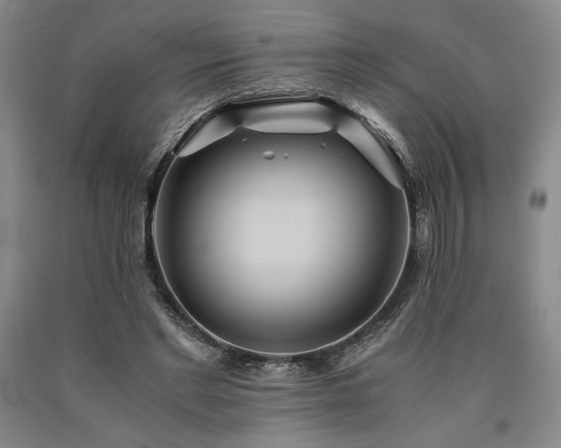 X0000090900493200707301416