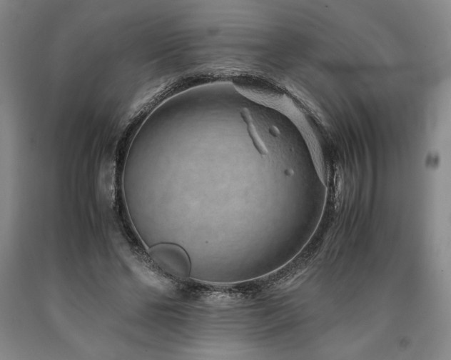 X0000090900494200707301416