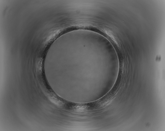 X0000090900495200707301416