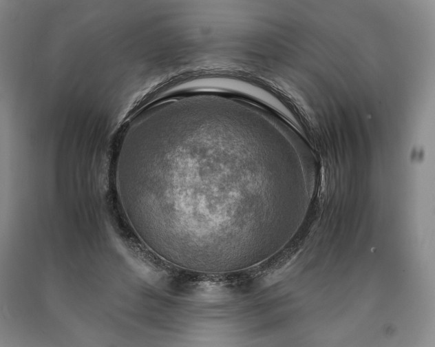 X0000090900496200707301416