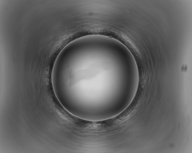 X0000090900497200707301416