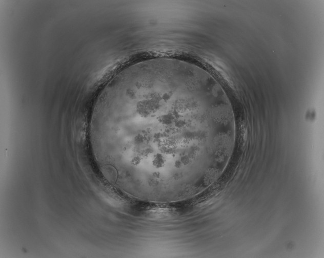X0000090900499200707301416