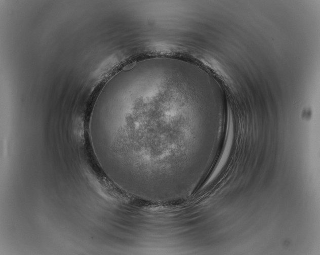 X0000090900500200707301416