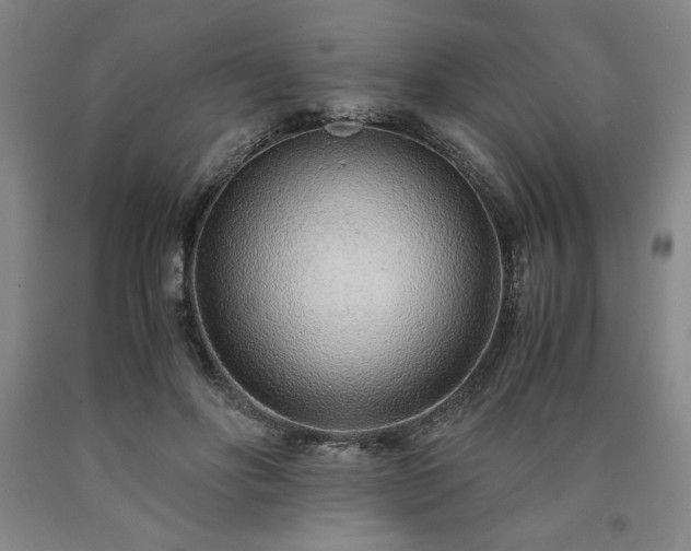 X0000090900502200707301416