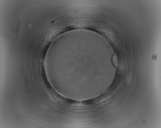 X0000090900503200707301416