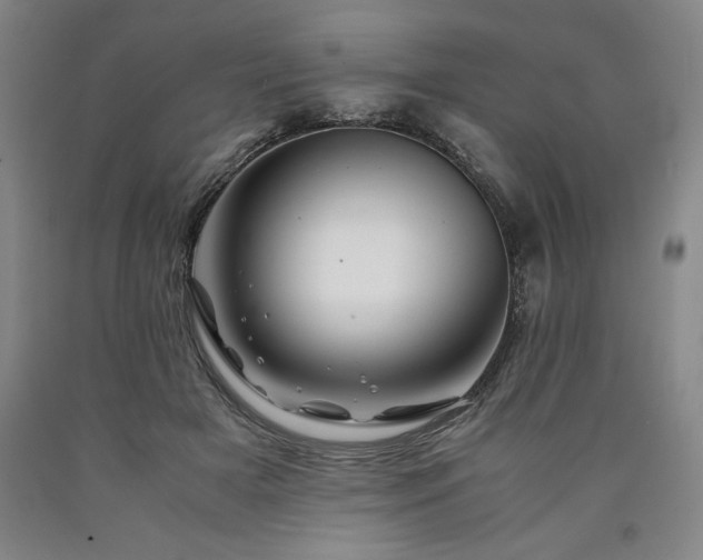 X0000090900505200707301416