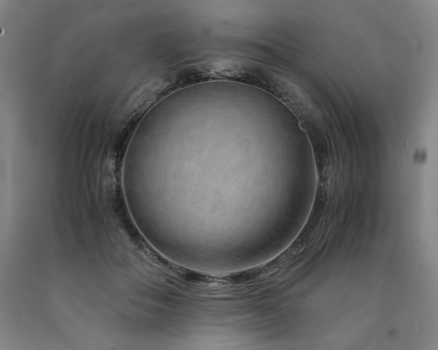 X0000090900506200707301416