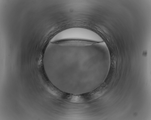X0000090900507200707301416