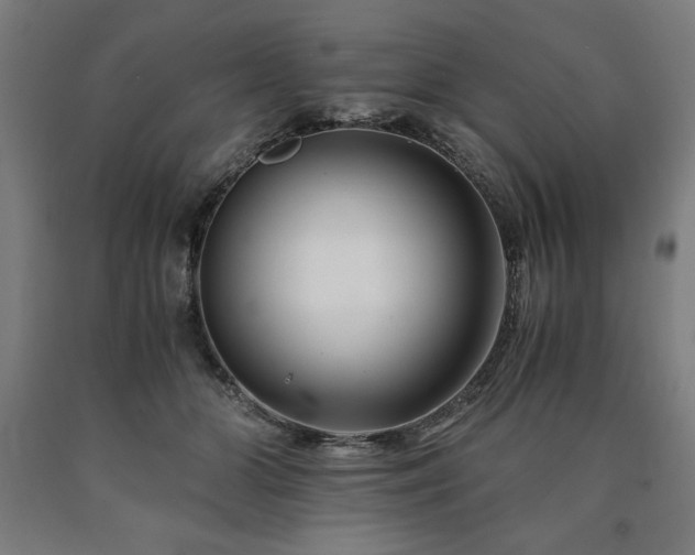 X0000090900510200707301416