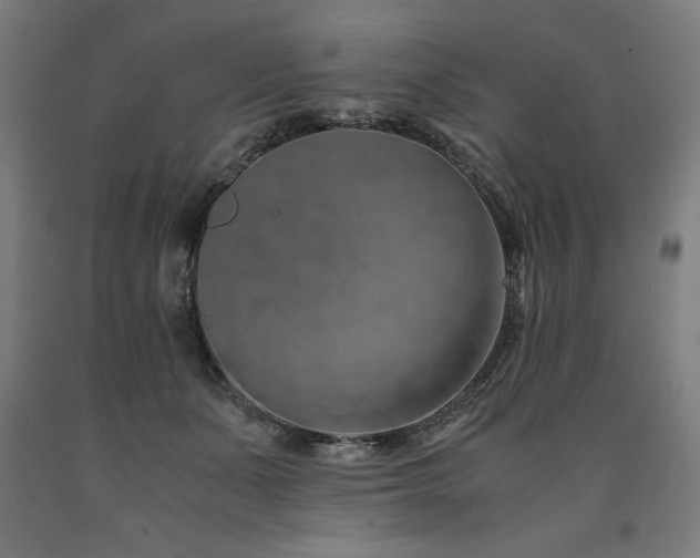 X0000090900511200707301416