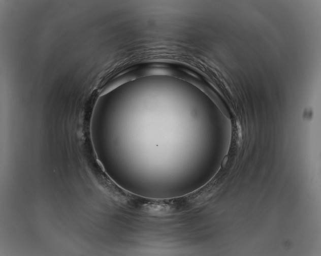 X0000090900512200707301416