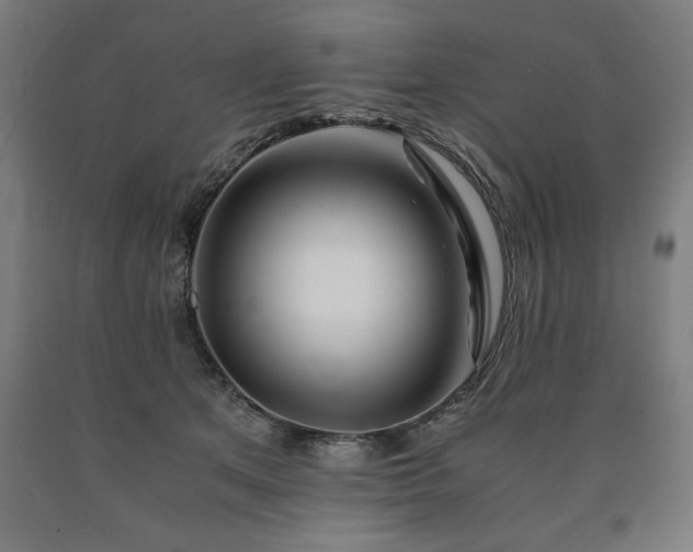 X0000090900513200707301416