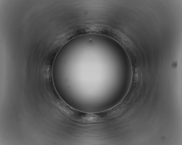 X0000090900514200707301416