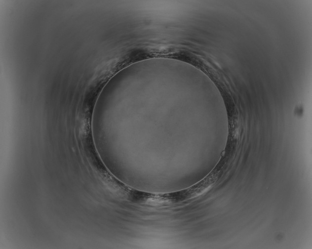 X0000090900515200707301416