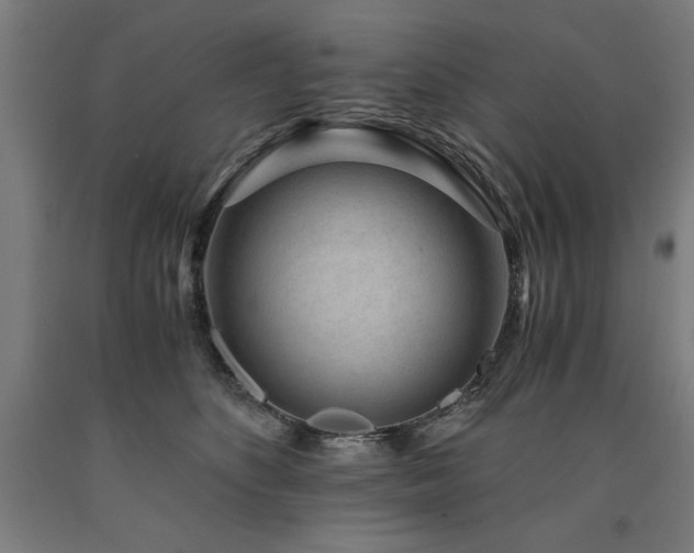 X0000090900516200707301416