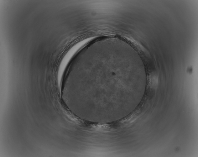 X0000090900517200707301416