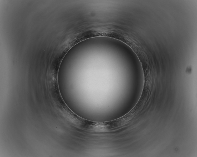 X0000090900518200707301416