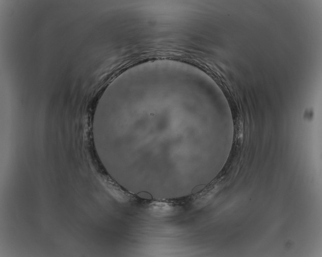 X0000090900519200707301416