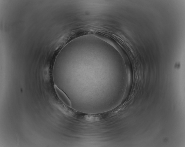 X0000090900520200707301416