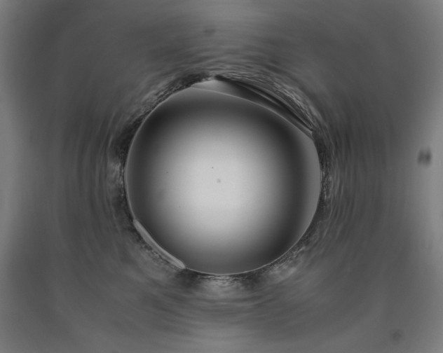 X0000090900521200707301416