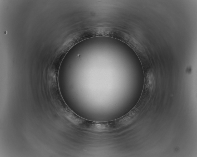 X0000090900522200707301416