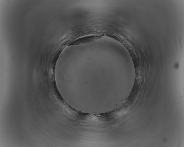 X0000090900523200707301415
