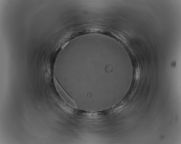 X0000090900524200707301415