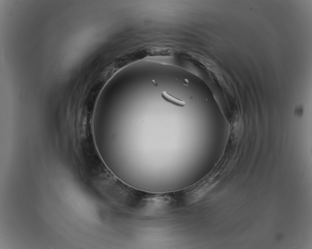X0000090900525200707301415