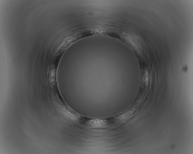 X0000090900526200707301415
