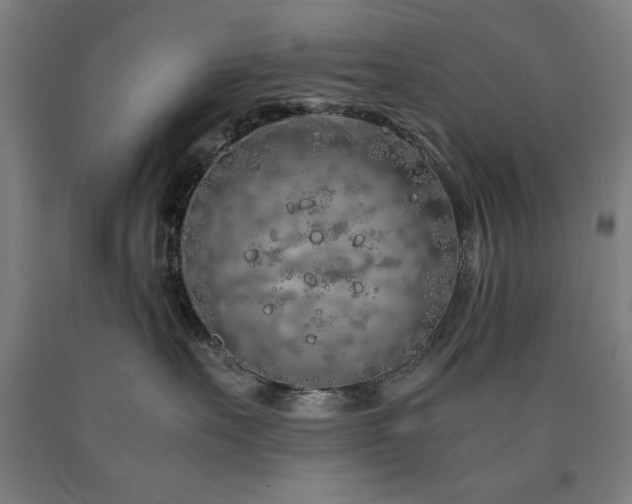 X0000090900527200707301415